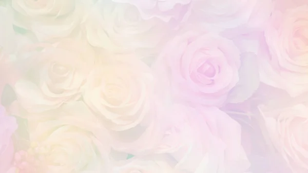 Mooie bloem achtergrond 1 — Stockfoto