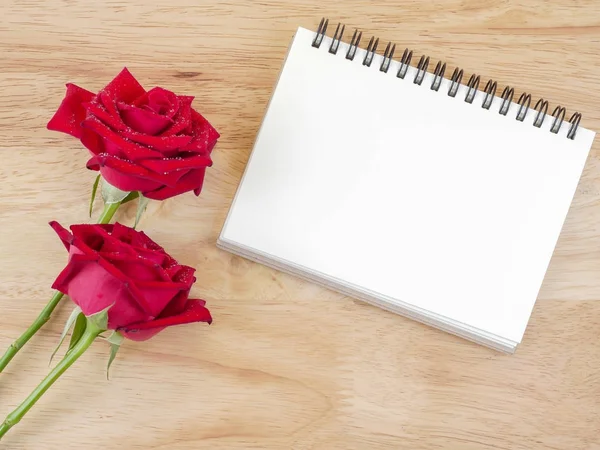 Dois vermelho rosa flor e notebook em branco 2 — Fotografia de Stock