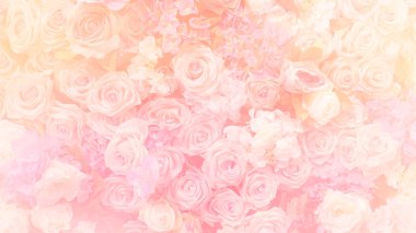 Güzel çiçek arka plan 6