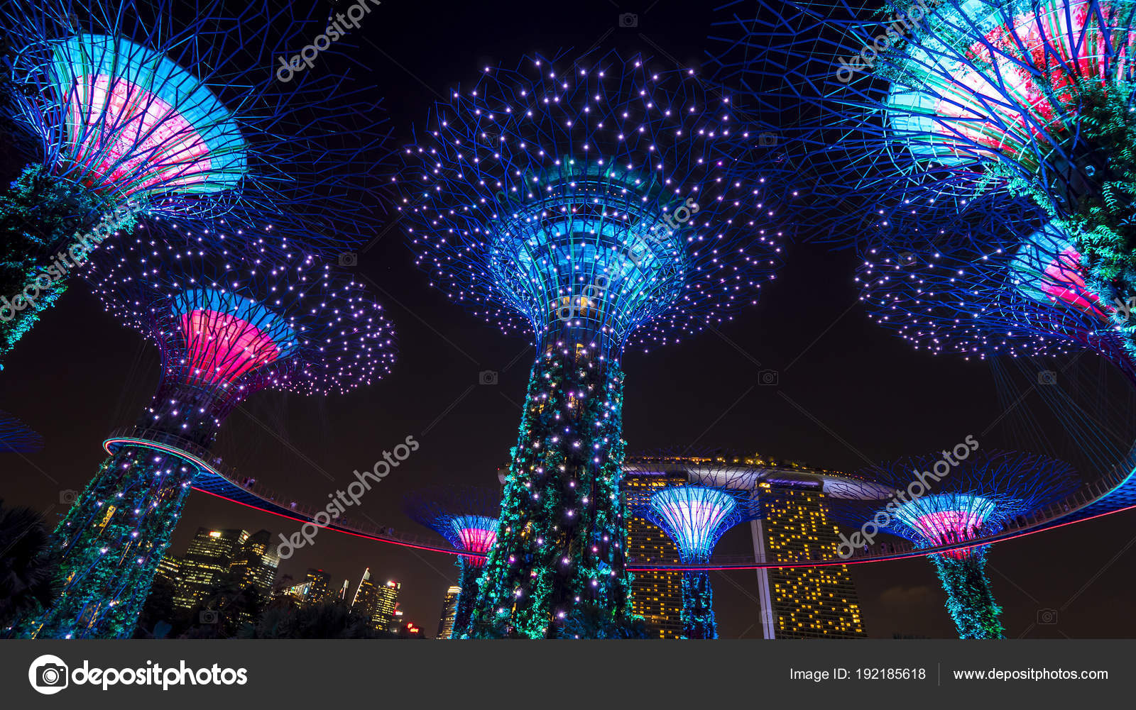 picture Gardens By The Bay Light Show Time https depositphotos com 192185618 stock photo supertree grove night light show html