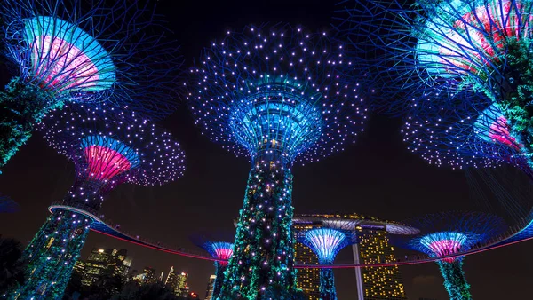 Espectáculo Luces Nocturnas Supertree Grove Gardens Bay Singapur — Foto de Stock