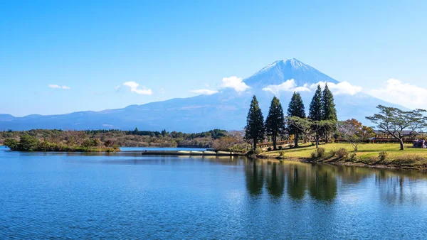 Fuji hegy a Tanuki-tónál 5 Jogdíjmentes Stock Képek