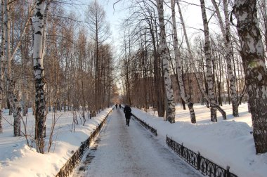 Şehir Parkı içinde şehir, Verkhnyaya Salda, Sverdlovsk bölge huş ağacı. Kış cityscape. Karlı iz