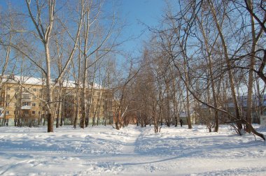 Şehir Parkı içinde şehir, Verkhnyaya Salda, Sverdlovsk bölge huş ağacı. Kış cityscape. Karlı iz