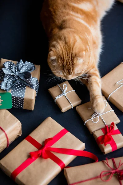 Imbir cat i Boże Narodzenie prezenty — Zdjęcie stockowe
