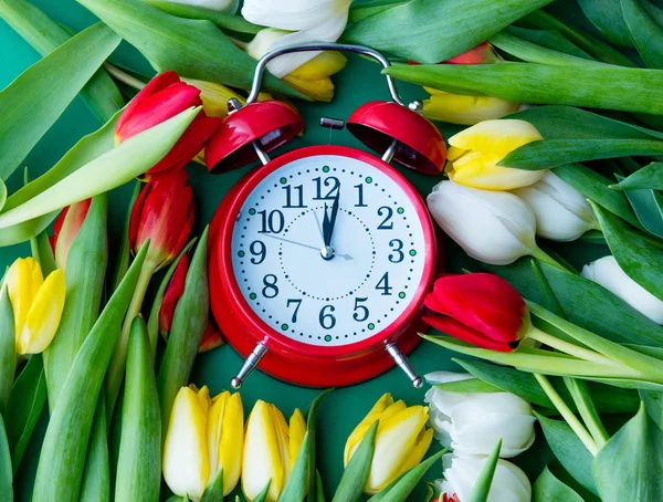 Tulipani e sveglia retrò — Foto Stock