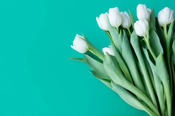 Bouquet de tulipes blanches — Photo