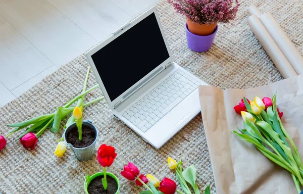 Tulipán és a laptop a szőnyeg — Stock Fotó
