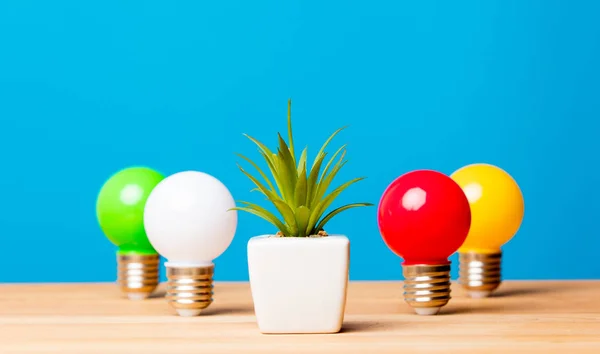 Colorful light bulbs — Stock Photo, Image