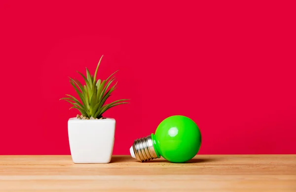 Lâmpada e vaso planta — Fotografia de Stock