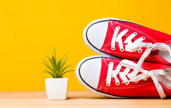 Zapatos de goma deportivos rojos y planta de maceta — Foto de Stock