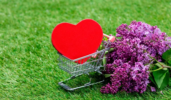 Carrito de compras pequeño con corazón rojo — Foto de Stock