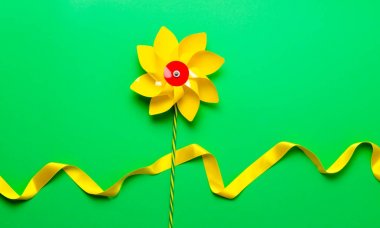 renkli çiçek fotoğrafı