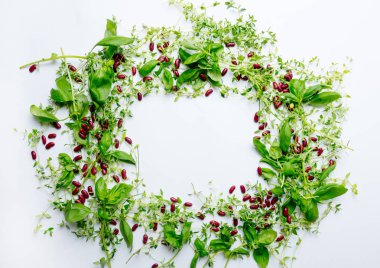 Barbunya fasulyesi ile organik otlar 