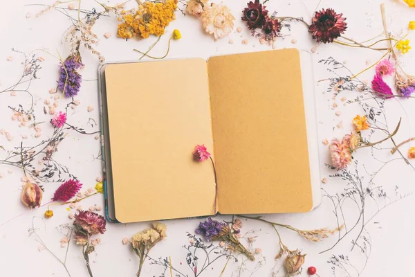 Paper notebook and herbs around — Stock Photo, Image