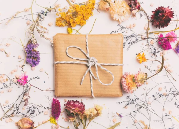 Gift box and herbs on white — Stock Photo, Image