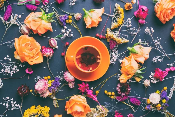 Kruiden en bloemen met kopje thee — Stockfoto