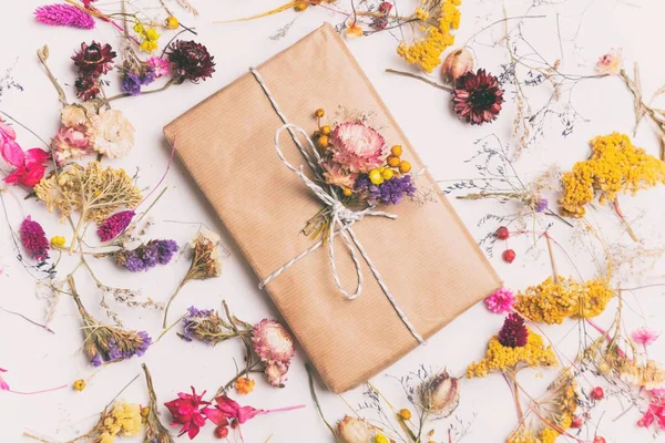 Paper gift box and herbs around — Stock Photo, Image