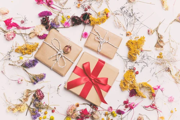 Gift boxes and herbs — Stock Photo, Image