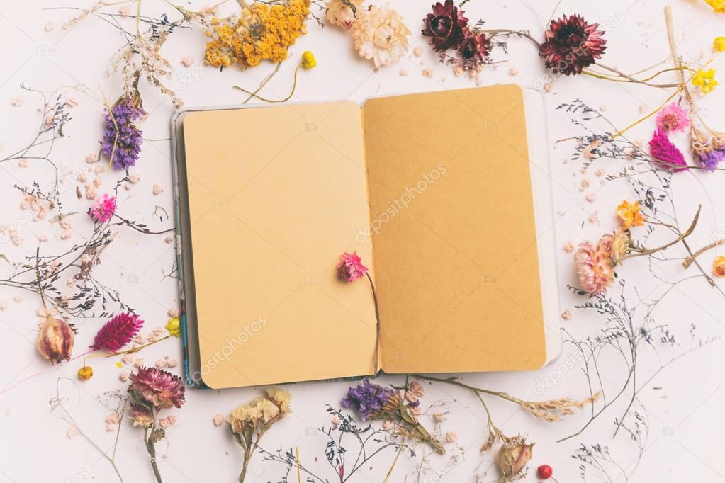 Paper notebook and herbs around