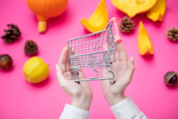 Female hands holding shopping cart — Stock Photo, Image