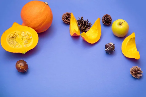 Calabazas con conos de manzana y pino —  Fotos de Stock