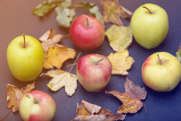 Μήλα και φθινοπωρινά φύλλα — Φωτογραφία Αρχείου