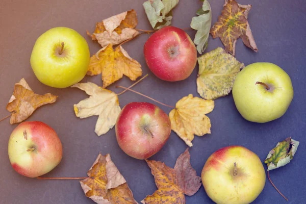 Eco μήλα και φθινοπωρινά φύλλα — Φωτογραφία Αρχείου