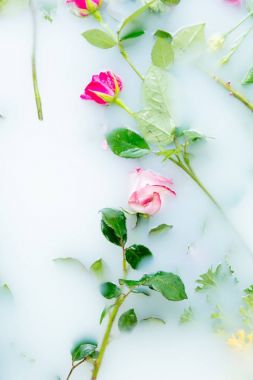 Köpük banyosu içinde gül