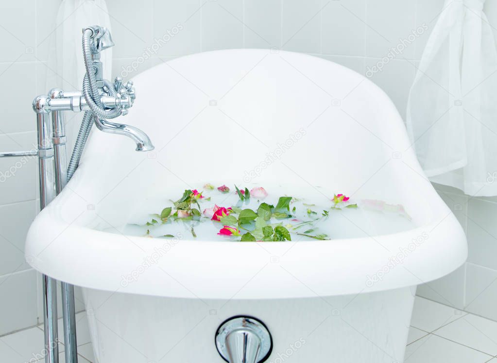 Roses in foam bath