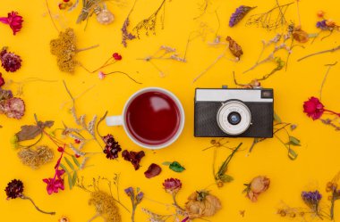 Kırmızı çay ile vintage fotoğraf makinesi ve otlar