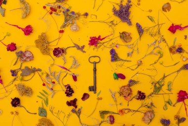 Vintage anahtar ve çiçekli bitkiler 