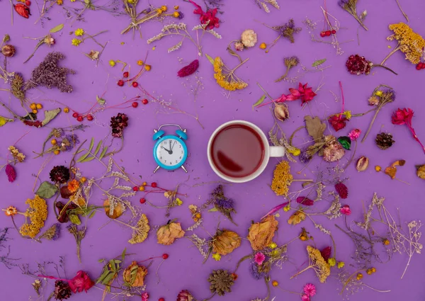 Taza de té con despertador y hierbas —  Fotos de Stock