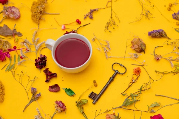 Xícara de chá vermelho com chave vintage e ervas — Fotografia de Stock