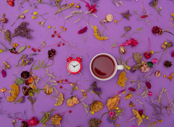 Tasse de thé avec réveil et herbes — Photo