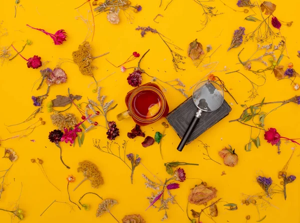 Taza de té rojo con libro, lupa y hierbas —  Fotos de Stock