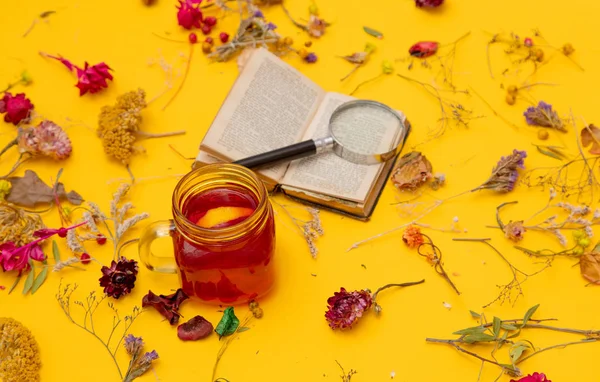 Cup of red tea with book, magnifer and herbs — Stock Photo, Image