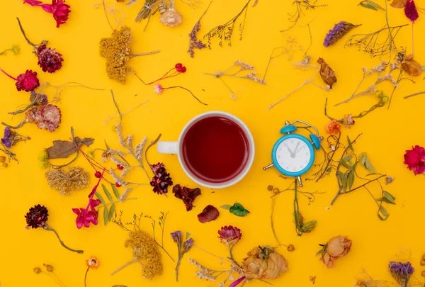 Tazza di tè rosso con piccola sveglia ed erbe aromatiche — Foto Stock