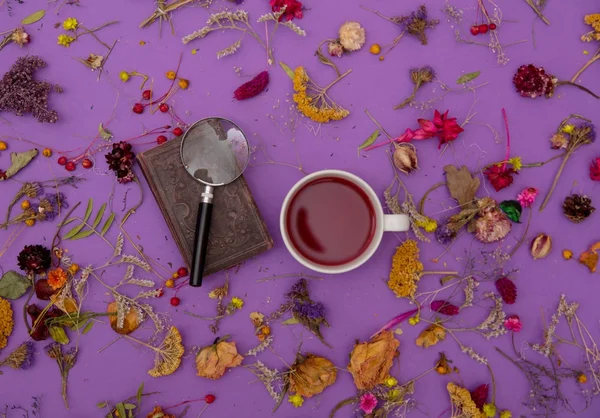 Чашка чая с книгой и увеличителем — стоковое фото
