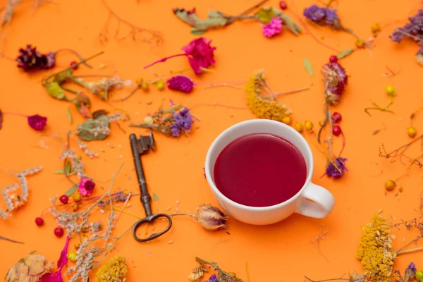 Tasse de thé avec clé vintage et herbes — Photo