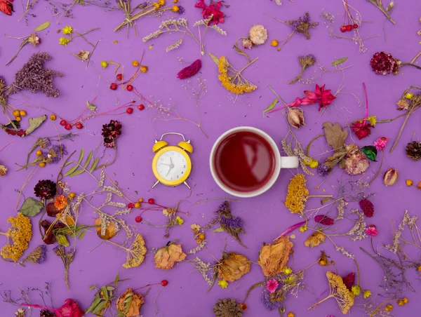 Tazza di tè con sveglia ed erbe aromatiche — Foto Stock
