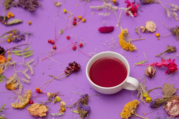 Cup of tea and herbs with flowers — Stock Photo, Image
