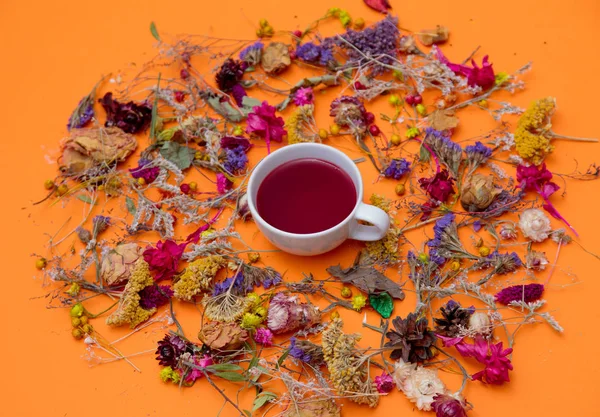 Fincan çay ve otlar ile çiçekler — Stok fotoğraf