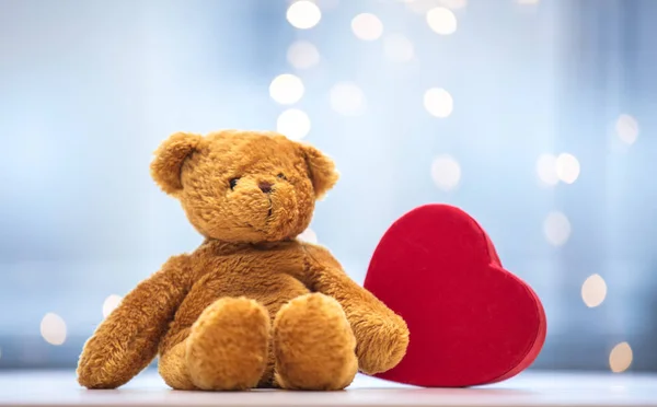 Teddy bear soft toy with heat shape toy