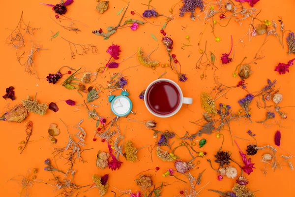 Cup of tea with alarm clock and herbs — Stock Photo, Image