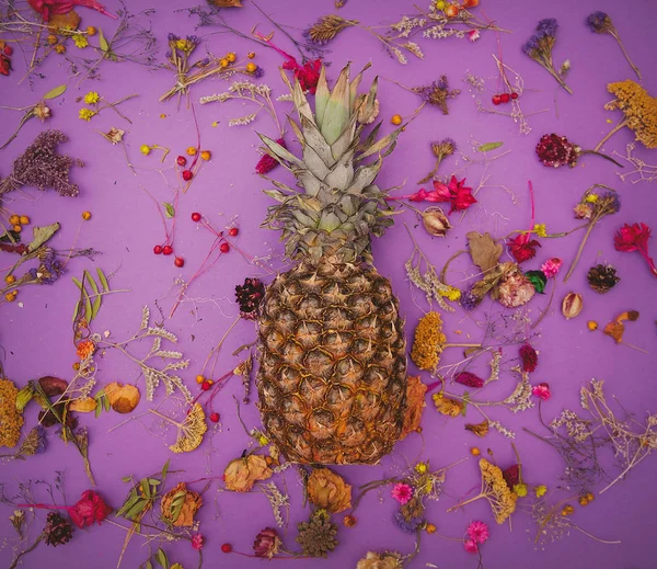 Ananas und Kräuter — Stockfoto