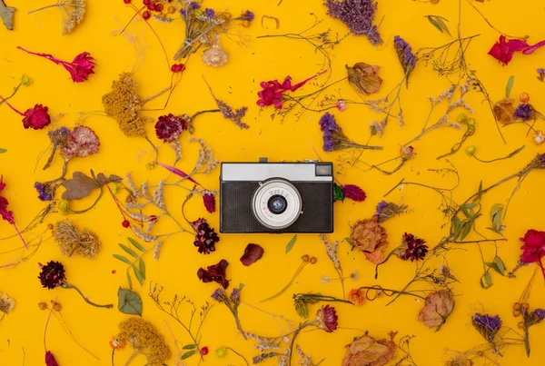 Vintage camera and herbs with flowers
