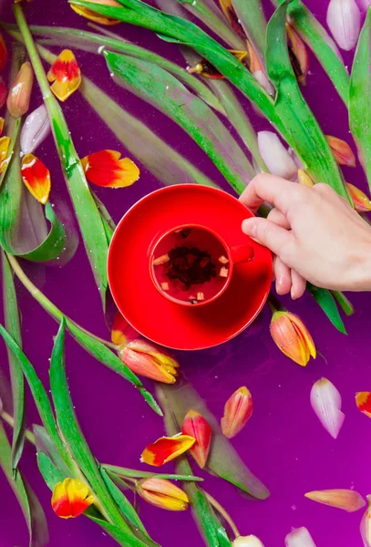 Main Féminine Tenant Une Tasse Thé Sur Des Tulipes Dans — Photo