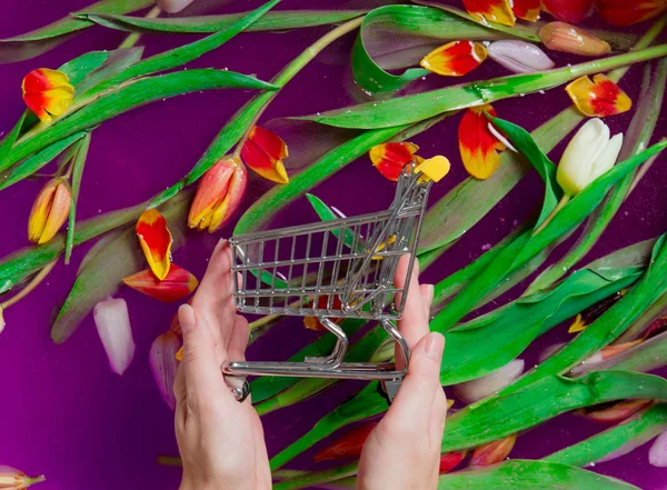 Руки Женщины Держат Корзину Покупок Тюльпанах Фиолетовом Фоне Воды — стоковое фото