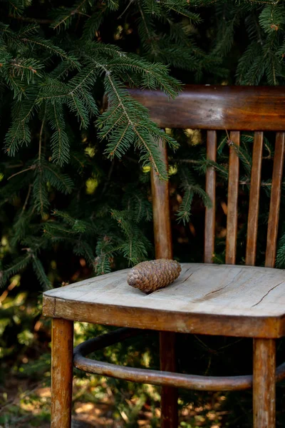 Trä Stol Och Kotte Med Grenar Bakgrunden — Stockfoto